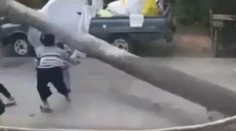 VIDEO: Stál pri ňom anjel strážny. Dvojročného chlapčeka tesne minula padajúca palma