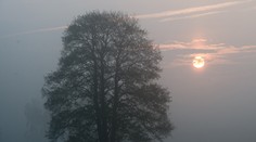 Ani na Mikuláša sa snehu nedočkáme