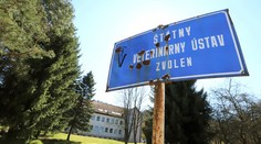 Do testovania na koronavírusu sa chcú zapojiť aj veterinári. Čakajú na rezort zdravotníctva