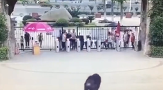 Ako z Planéty opíc: Šimpanz sa dostal von z klietky a naháňaľ ľudí v zoo. Schytal to jeden muž