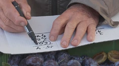 Menej úrody, viac nákladov. Trhovníci prezradili, prečo nezdražujú. Za týmto sa skrýva tvrdá realita