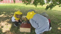 Uštipnutie im neprekáža. Študenti prešovskej univerzity si včelárstvo zaradili do učebných osnov