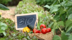Sú biovýrobky naozaj zdravé? Prekvapíme vás