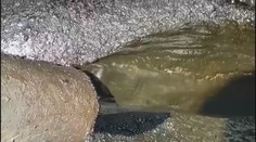 Na Slovensko pritiekla divná ropa. Pripomína skôr bahno zmiešané s vodou