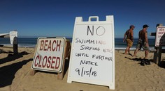 Najskôr videli chvost a potom mlátenie: Surfistu zrejme zabil žralok