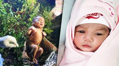 Predvianočný zázrak? Novorodenec zanechaný napospas džungle, prežil osamote dva dni