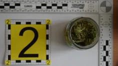 Polícia chytila muža, ktorý dostával drogy cez kuriéra