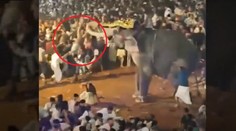 VIDEO: Rozzúrený slon sa vrhol na veriacich. Muž, ktorého schmatol chobotom, utrpel vážne zranenia