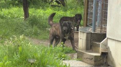 V „dome hrôzy“ v Hronovciach trpeli dôchodcovia. Teraz trpia susedia
