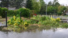 Búrky sa môžu vyskytnúť aj v piatok. Výstrahy platia aj pred vysokými teplotami