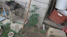 Razia v bratislavskej Devínskej Novej Vsi. Polícia prehľadávala farmu, na ktorej hľadala drogy