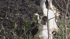 Talianski podnikatelia na východnom Slovensku majú ďalší problém so zákonom