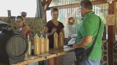 Ako rozoznáte kvalitný burčiak? Radia dvaja odborníci