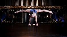 Cirque du soleil vystúpi s predstavením Quidam v Bratislave