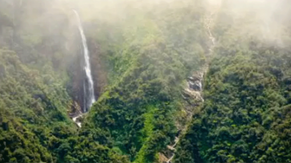 Prevratný nález v bolívijskej divočine. Vedci objavili dvadsať nových druhov zvierat a rastlín