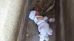 Matka nechala bábätko na cintoríne. Pozrite si video z jeho záchrany