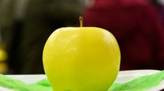 Toto je najkrajšie jablko na Slovensku