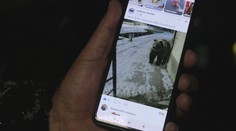 Zvláštny úkaz v kežmarskom okrese. Buntoší uprostred zimy medveď alebo sa ktosi s dedinčanmi zahráva?