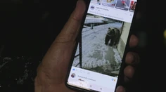 Zvláštny úkaz v kežmarskom okrese. Buntoší uprostred zimy medveď alebo sa ktosi s dedinčanmi zahráva?