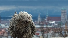 Druhý najvyšší stupeň výstrahy. Teploty až mínus 21 stupňov Celzia