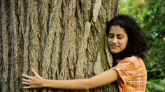 Magické drevo – objavte mágiu stromov