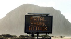 Smrteľný útok žraloka v Kalifornii. Z mora vytiahli roztrhané telo surfistu