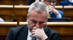 V SaS chcú pomôcť LGBTI+ komunite. Koalíciu žiadajú, aby sa k nim pridala