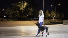 Bývalý väzeň napadol ženu počas venčenia psa. Okrem faciek jej uštedril aj kopanec