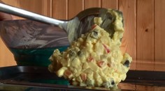 Začala sa sezóna salmonelózy. Črevnému ochoreniu sa v lete mimoriadne darí