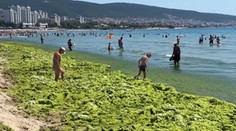 VIDEO: Bulharské pláže pokryla mazľavá zelená hmota. Ľudia sa pri ceste do mora brodia vyplavenými riasami