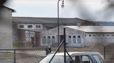 V centre obce chcel chovať stovky ošípaných, obyvatelia nesúhlasili. Súd už rozhodol