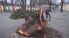 Gemerom a Spišom sa prehnala silná búrka: Vietor trhal strechy a lámal stromy