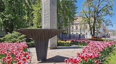 Košice sa pýšia krásnymi kvetmi. Miestni sa na ne neraz ulakomia