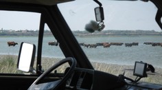 EXPEDÍCIA NA STRECHU EURÓPY: Ako to vyzerá, keď prednosť majú kravy