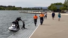 VIDEO: Policajti zachraňovali vystrašenú kenguru, tá sa odhodlala k nečakanému kroku