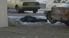 Pred 19 rokmi zabili mafiánskeho bossa Sýkoru. Už dnes sa dozvieme detaily