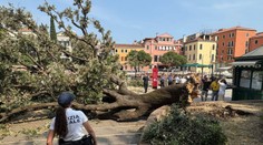 FOTO+VIDEO: Dráma v Benátkach. Turistické námestie sa zmenilo na miesto nešťastia, na skupinu ľudí spadol dub