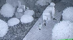 Zlodej pri Hlohovci ukradol skúter a od radosti si uľavil v cudzom dome