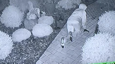 Zlodej pri Hlohovci ukradol skúter a od radosti si uľavil v cudzom dome