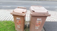 V blízkosti hnedých smetiakov na kuchynský odpad sa v lete objavuje hmyz a potkany