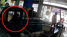 VIDEO: Kamera zachytila bizarnú nehodu. Auto vpálilo do obchodu so psom za volantom