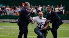 VIDEO: Aktivisti opäť vystrájali. Tentoraz na Wimbledone a s konfetami