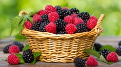 Kráľovné dezertov: Dve sestry, ktoré sú prospešné zdraviu