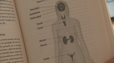 Lenka si myslela, že je to stres zo smrti dcéry. Telo jej však vysielalo úplne iné varovania