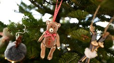 Trendom podliehajú aj vianočné stromčeky. Dizajnér radí, čo ovládne tohtoročné sviatky