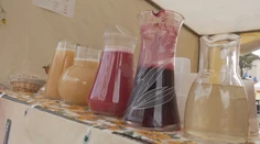 Burčiak už tečie prúdom. Vinári prezradili, aký ročník vína nás čaká