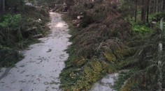 V Hlbokej doline v Západných Tatrách uviazla ráno rodina z Česka