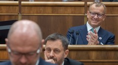 V prípade pádu vlády chce ísť Kollár s lídrami strán rovno za prezidentkou