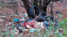 Rozsudok za vraždu soka v láske. Bez trestu neodišla ani žena zavraždeného