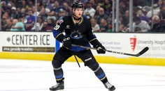 Kedysi prešiel draftom, za tri roky ho však použili len dvakrát. Slovák to s NHL vzdal a vracia sa do Európy